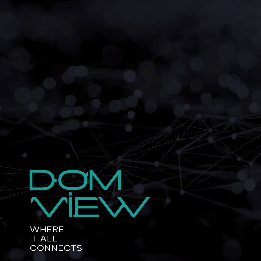 domview endika ibañez