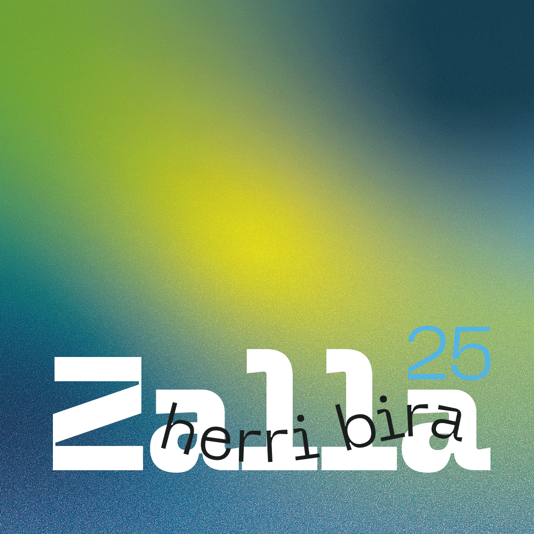 domview endika ibañez